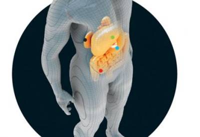 Gecko-inspired adhesive is one of the Popular Mechanics Biotech Breakthroughs!