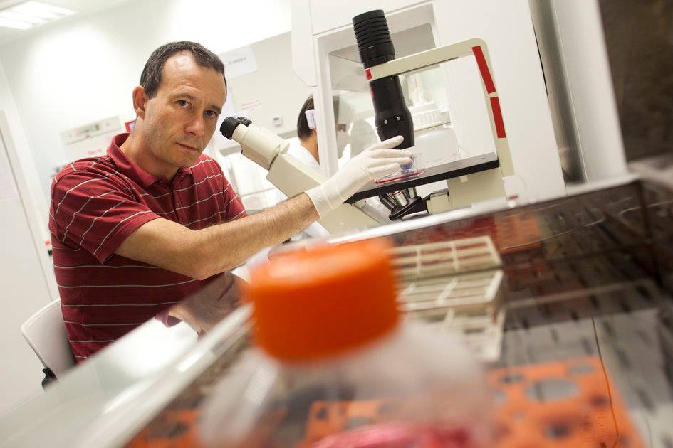 Lino Ferreira awarded with prestigious ERC Starting Grant