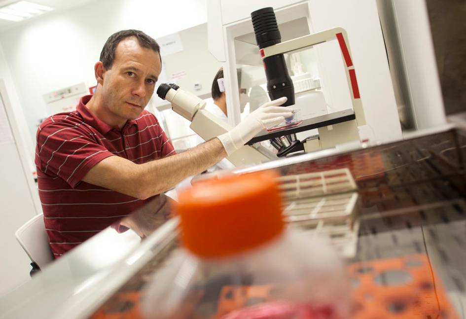 Lino Ferreira awarded with prestigious ERC Starting Grant