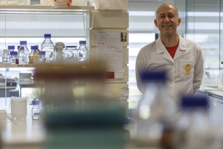  Notícias Magazine - Anti-ageing medicine: mith, science or future?