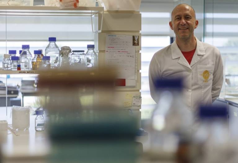  Notícias Magazine - Anti-ageing medicine: mith, science or future?