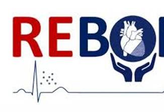 REBORN project video