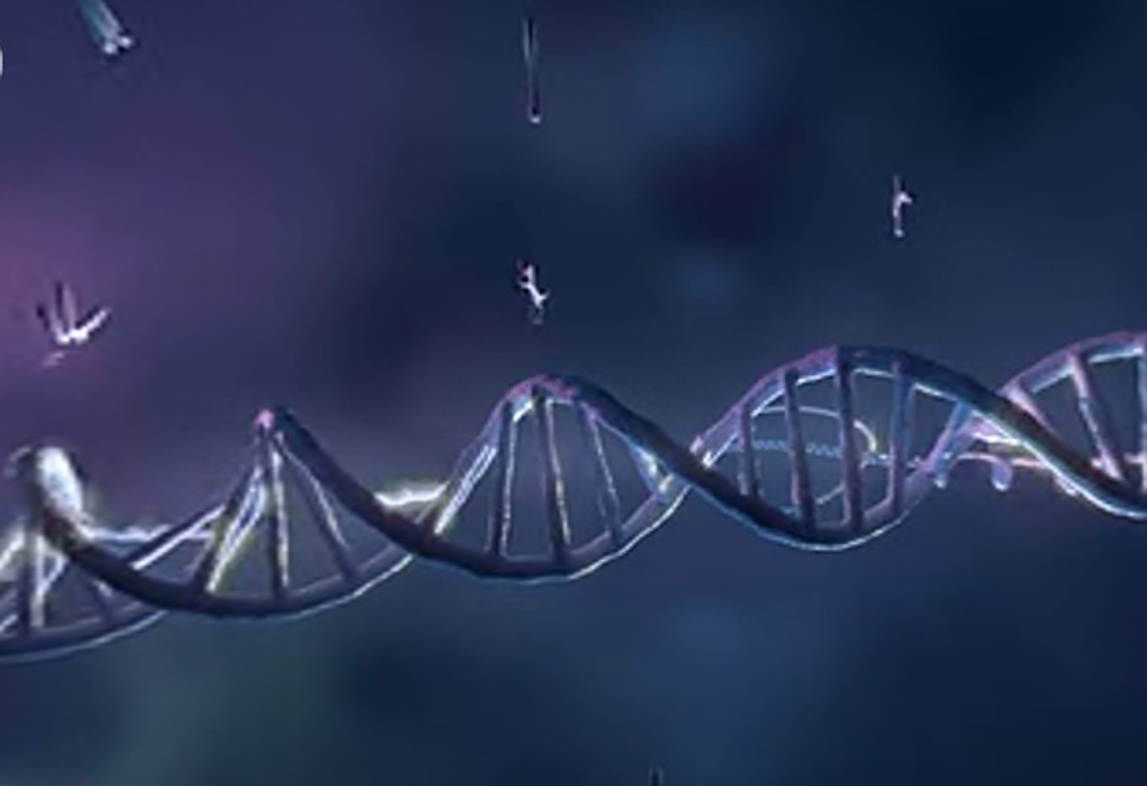 Virtual reality video - A closer look to the aging process  