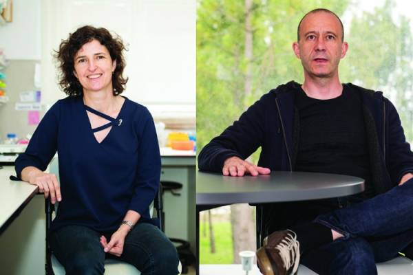 Congratulations to Ana Luísa Carvalho and Lino Ferreira