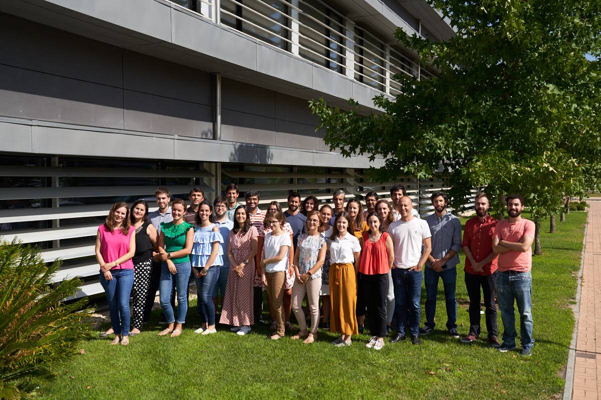 Our TEAM BUILDING ACTIVITIES 2014 in Lousã