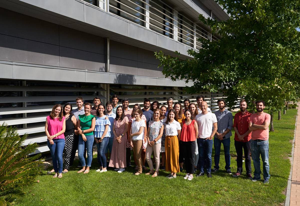 Our TEAM BUILDING ACTIVITIES 2014 in Lousã